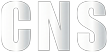 Los Angeles Clippers News Surge Banner